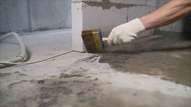 SJ Waterproofing Pros Emergency Waterproofing coverage map for Riga, MI and surrounding area